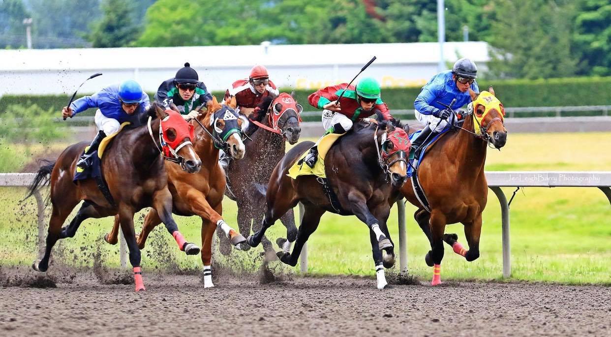 little blitzen, QH, Quarter Horse Racing