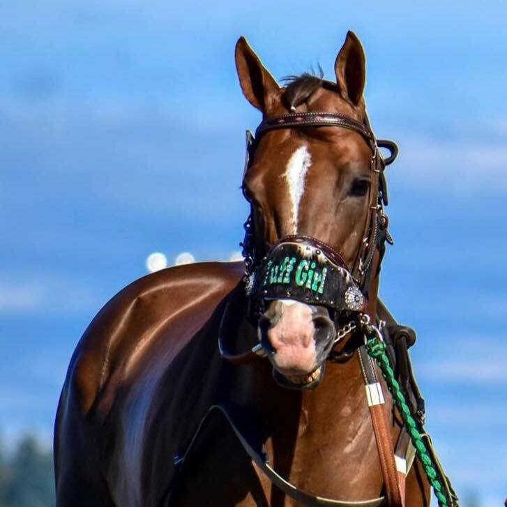 SORELLI, QH racing, $55,000 Bank of America Emerald Championship Challenge at 440 yards